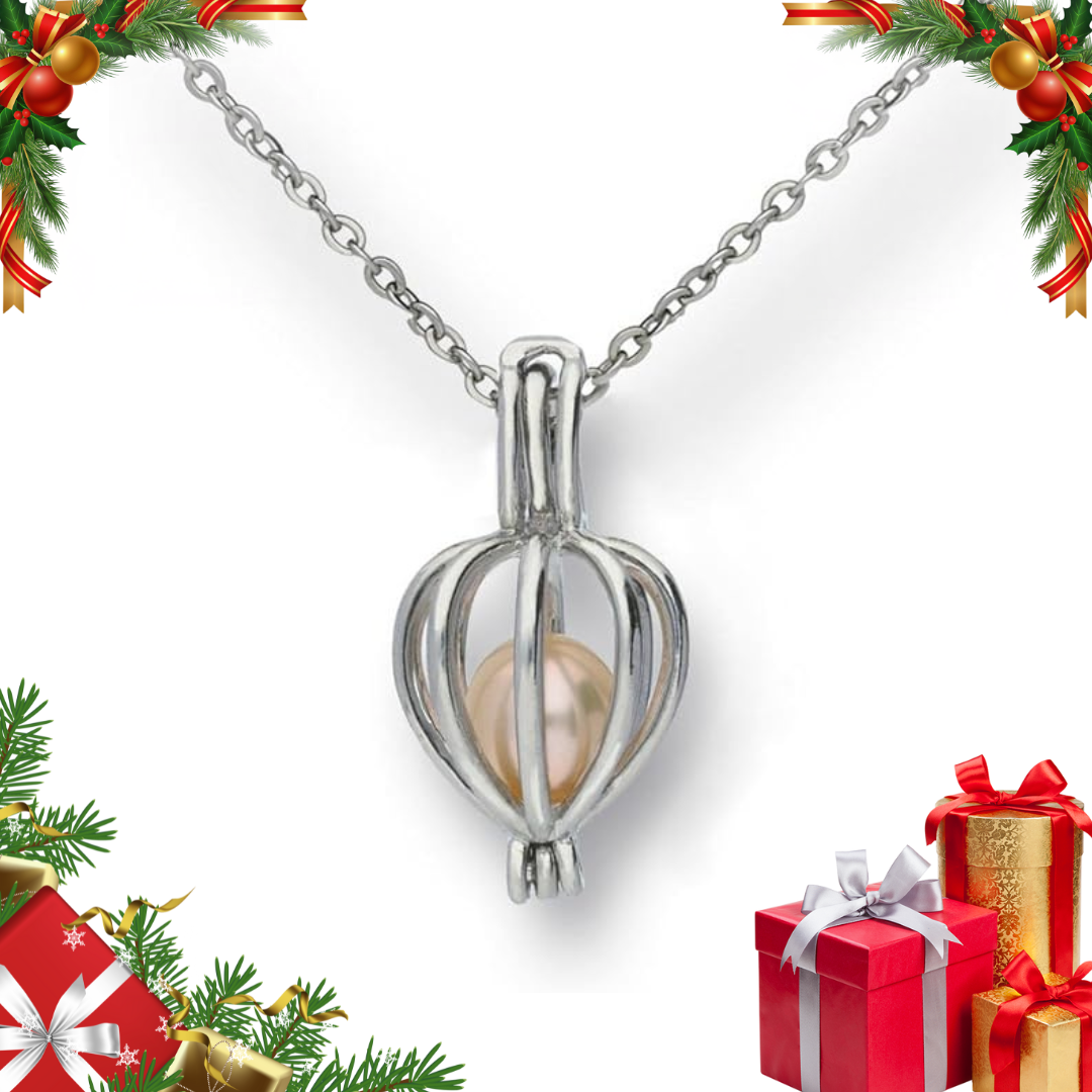 VENIS, votre vœu dans un coquillage !